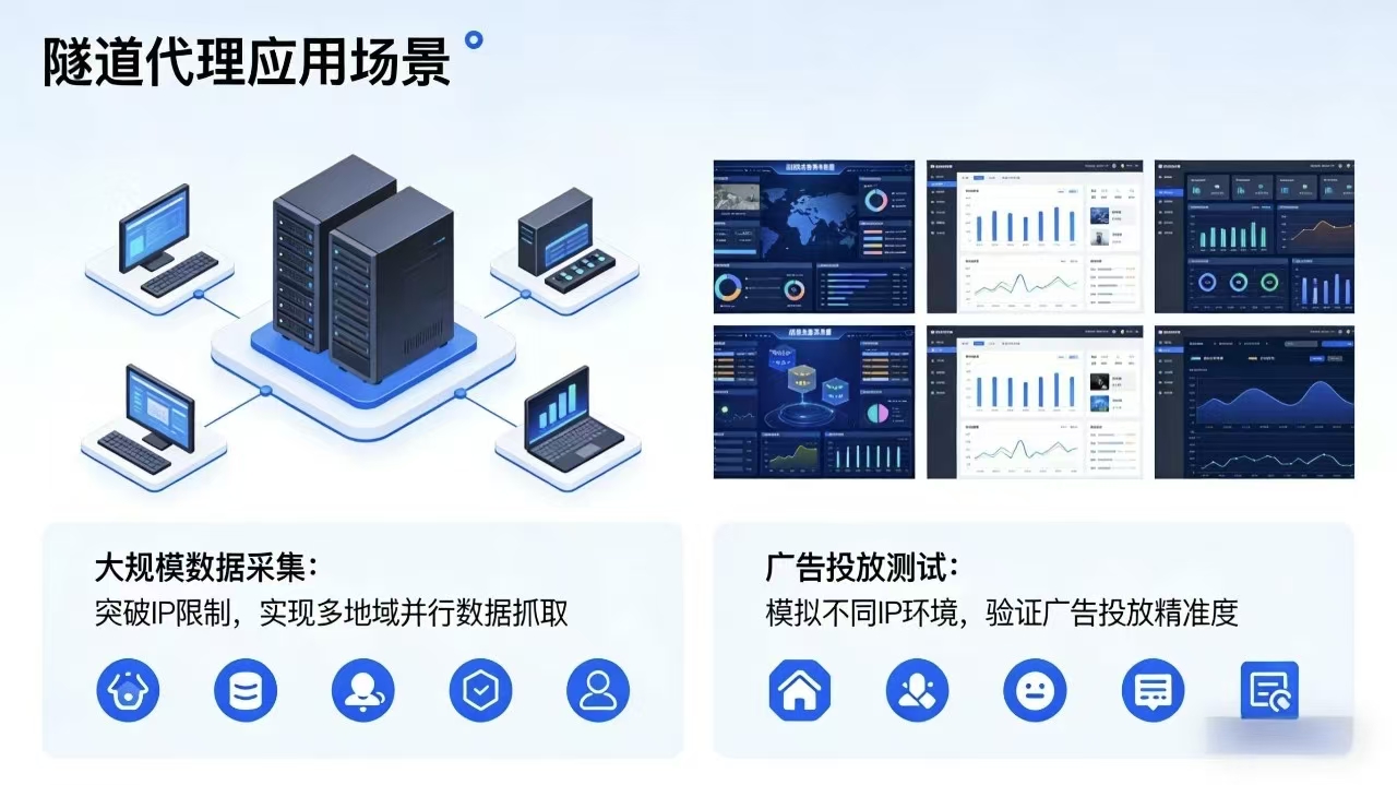 微信图片_20260209082023_554_157.jpg 微信图片_20260209082023_554_157.jpg